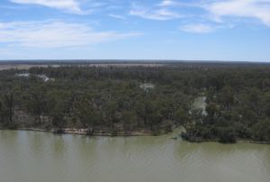 Murray-and-Mallee